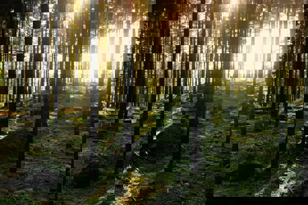 Have your say: input into the UKCRIC response to BEIS Inquiry into Net Zero Governance