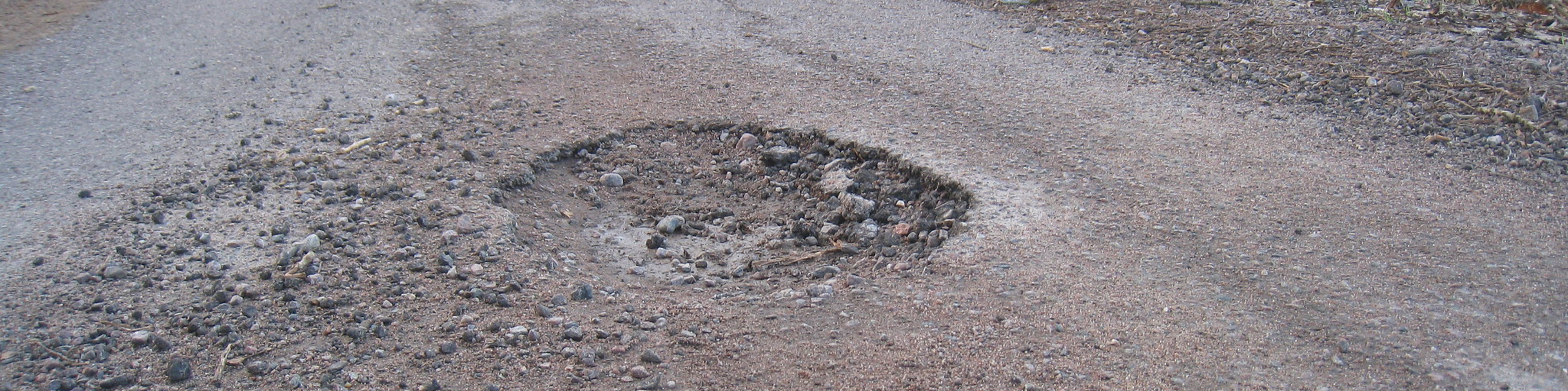 Work with the Department for Transport to address Potholes