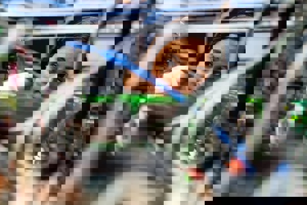 REF 2021 shows UKCRIC higher education institutions are amongst the UK’s best