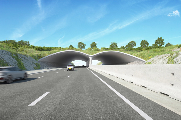 Project Spotlight: Supporting carbon neutral construction