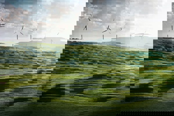 Reflections on the July 2020 Management Board Meeting