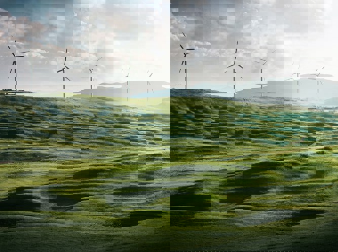 Reflections on the July 2020 Management Board Meeting