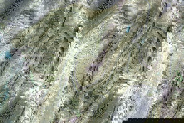 New Green Recovery Report released