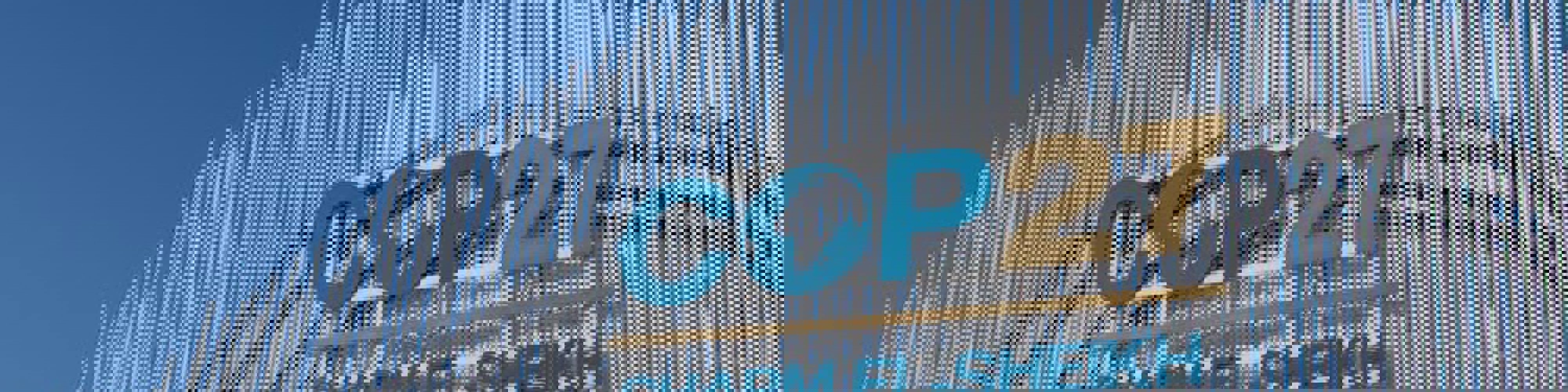 Insight: Personal reflection on COP27 – Where do we go from here?