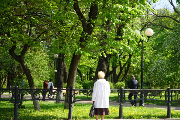 Latest OECD newsletter now available, inc. environmental responses to the global COVID-19 pandemic