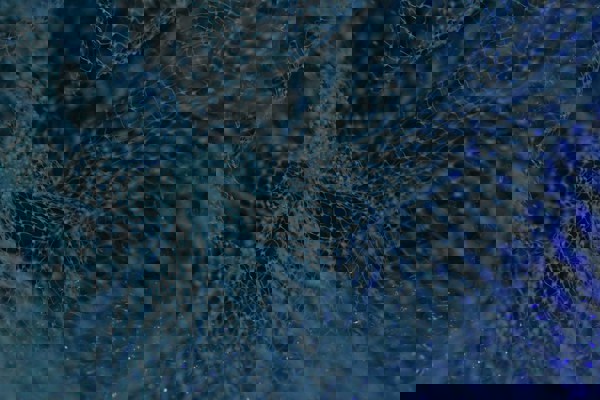 Data Sharing in Infrastructure and Urban Systems