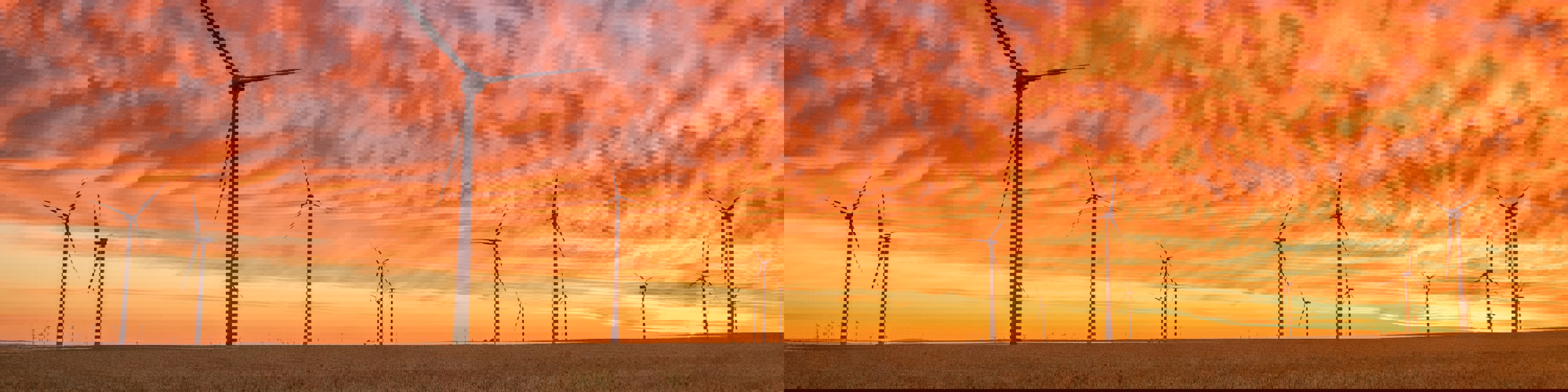 Net zero