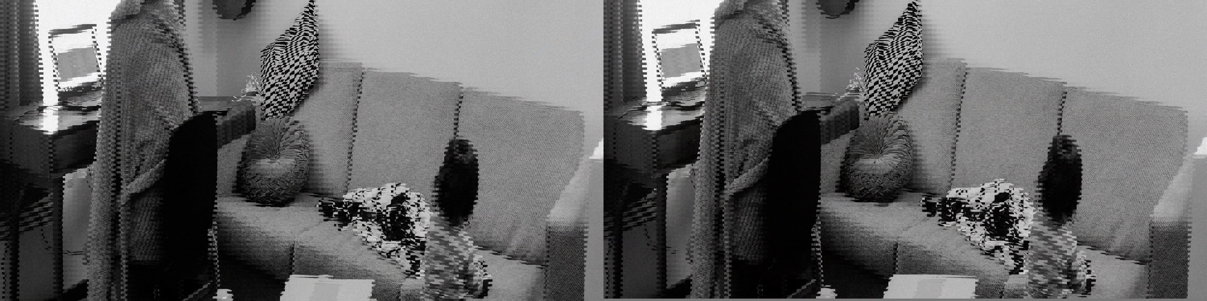 Insight: Successful remote team working mirrors challenges of transdisciplinary working