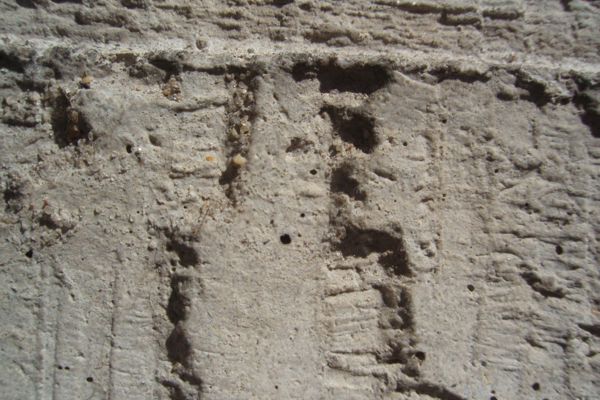 Introducing PLEXUS, UKCRIC’s lab pump priming project