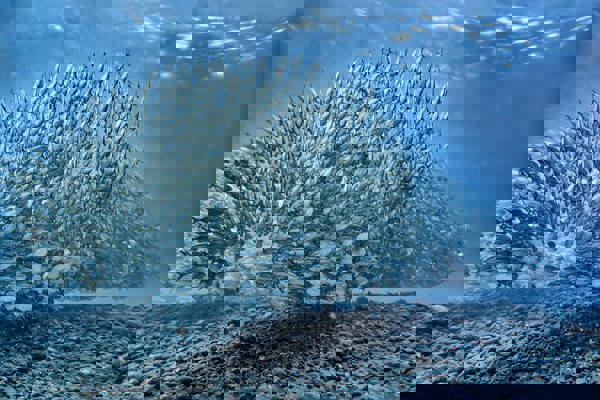 ResearchFish submissions are due this month and we need your help